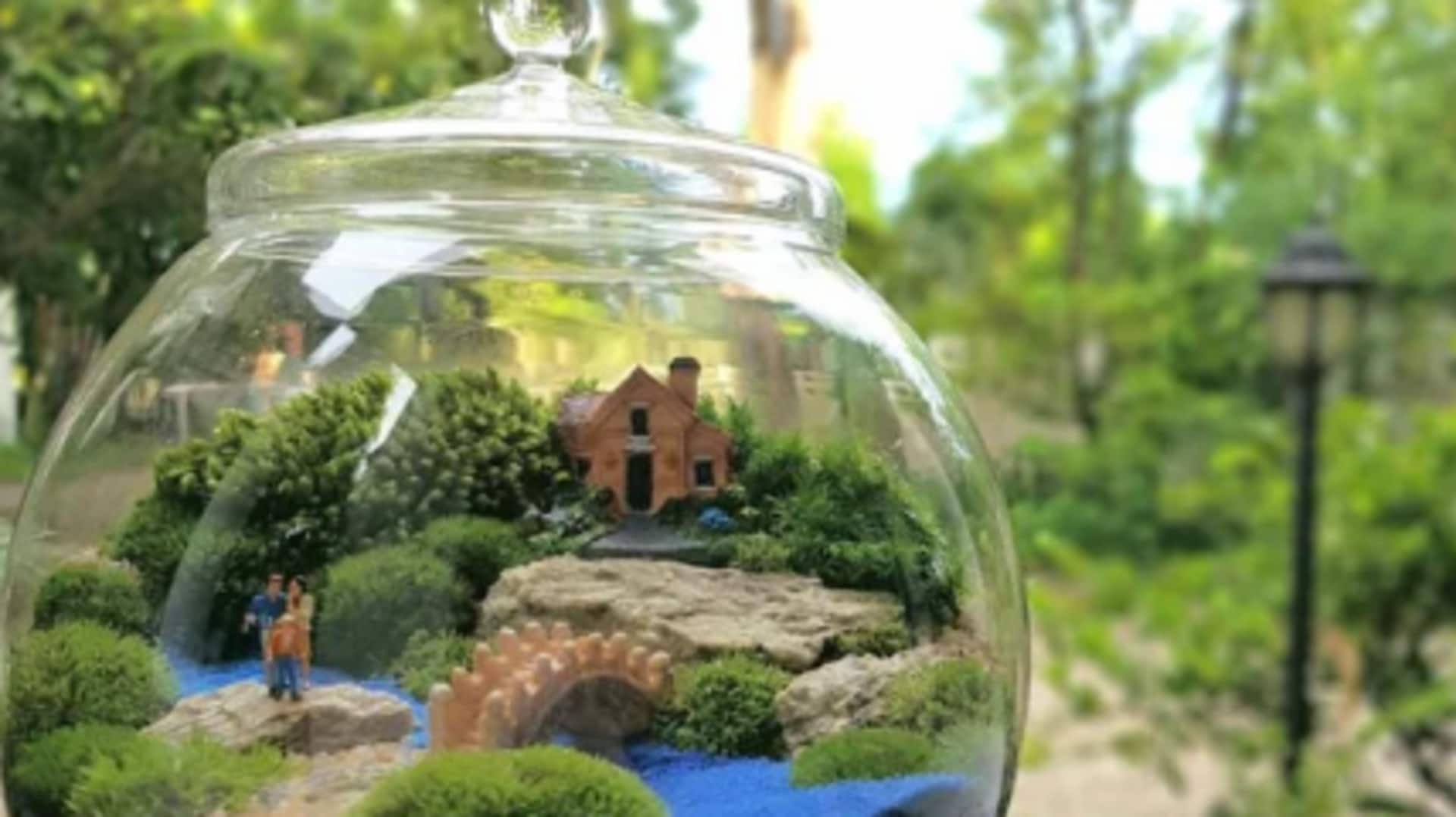 How to build your own terrariums