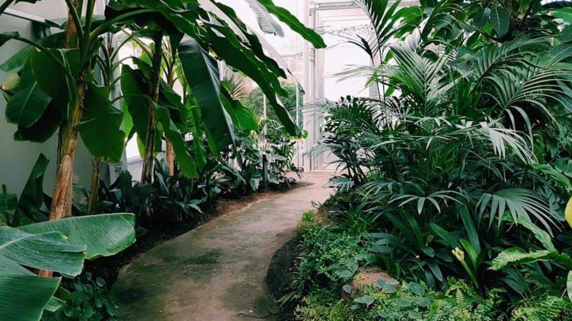 Keep your houseplants safe from these pests Keep your houseplants safe from these pests