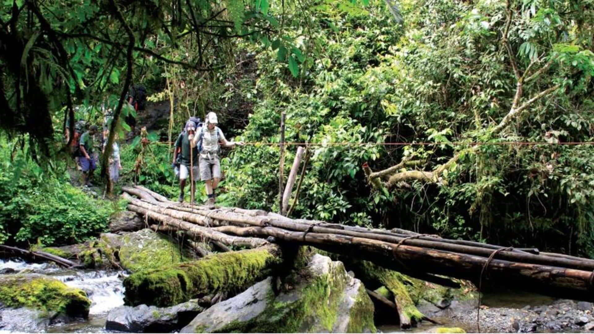 Trekking the Kokoda Trail: A journey through Papua New Guinea