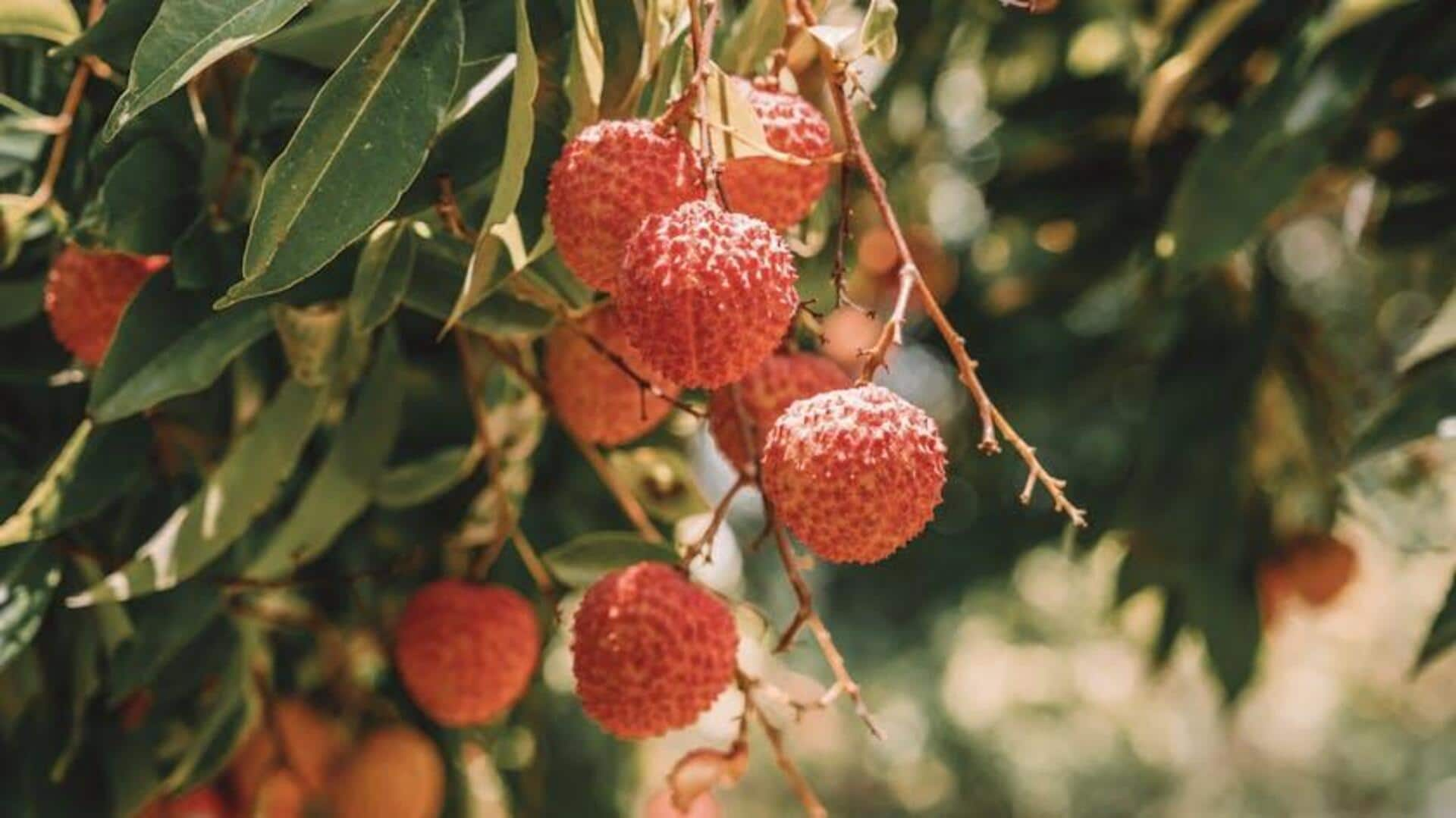 Discover the powerful health benefits of lychee 