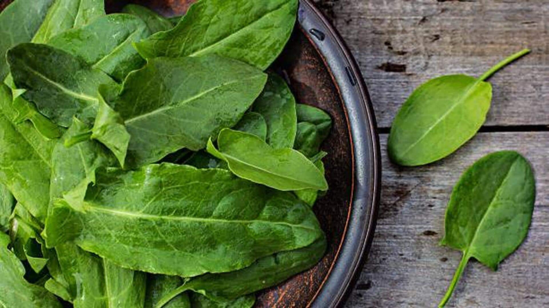 Tangy and tasty: 5 sorrel leaf dishes to try Tangy and tasty: 5 sorrel leaf dishes to try