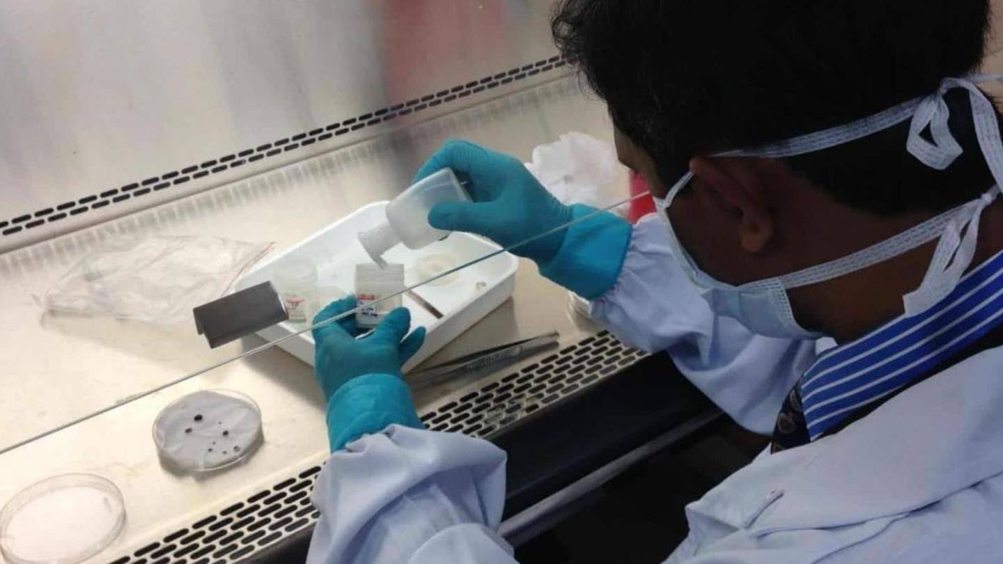 Fauci's leaked emails corroborate Indian scientists' original lab-leak theory Fauci's leaked emails corroborate Indian scientists' original lab-leak theory