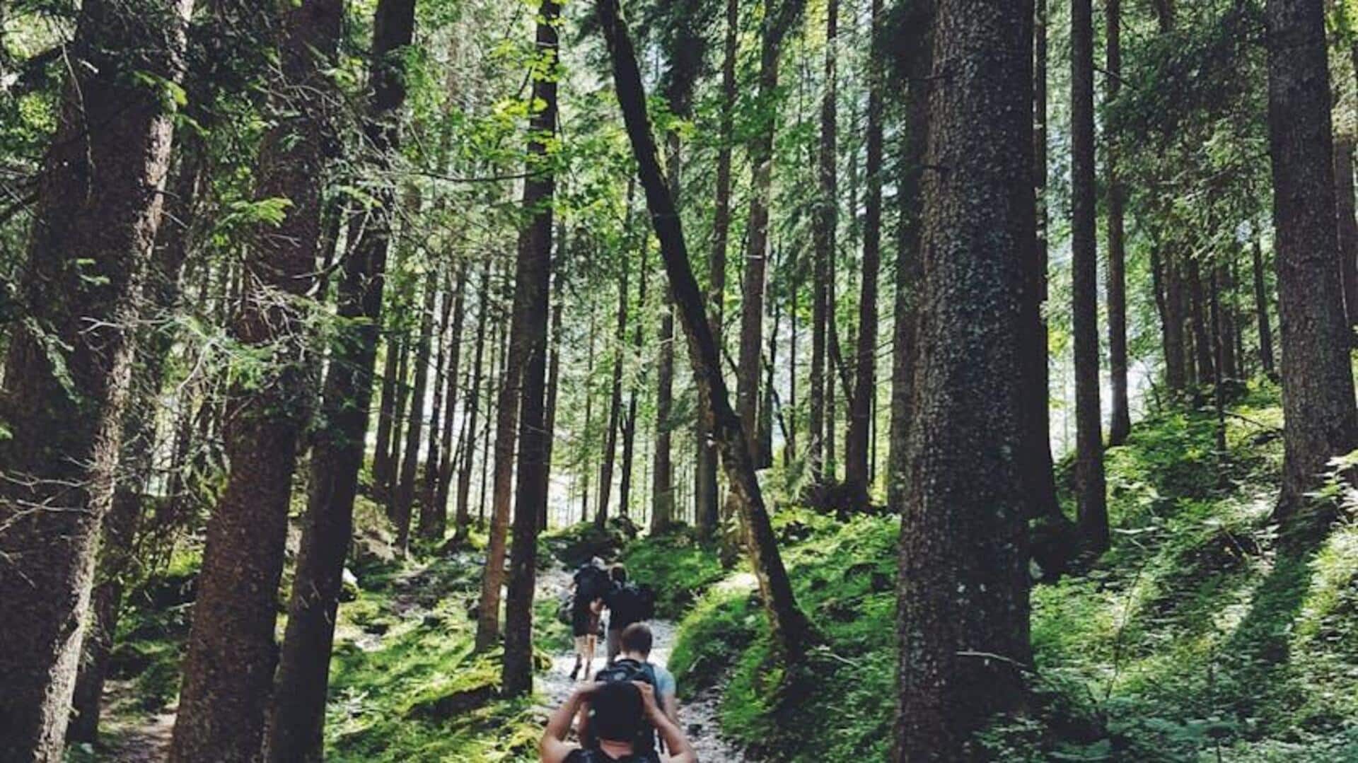 Walking in nature? Do these 5 things