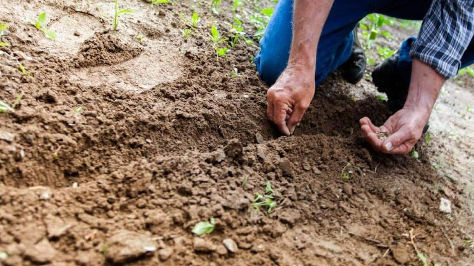 How gardening teaches patience