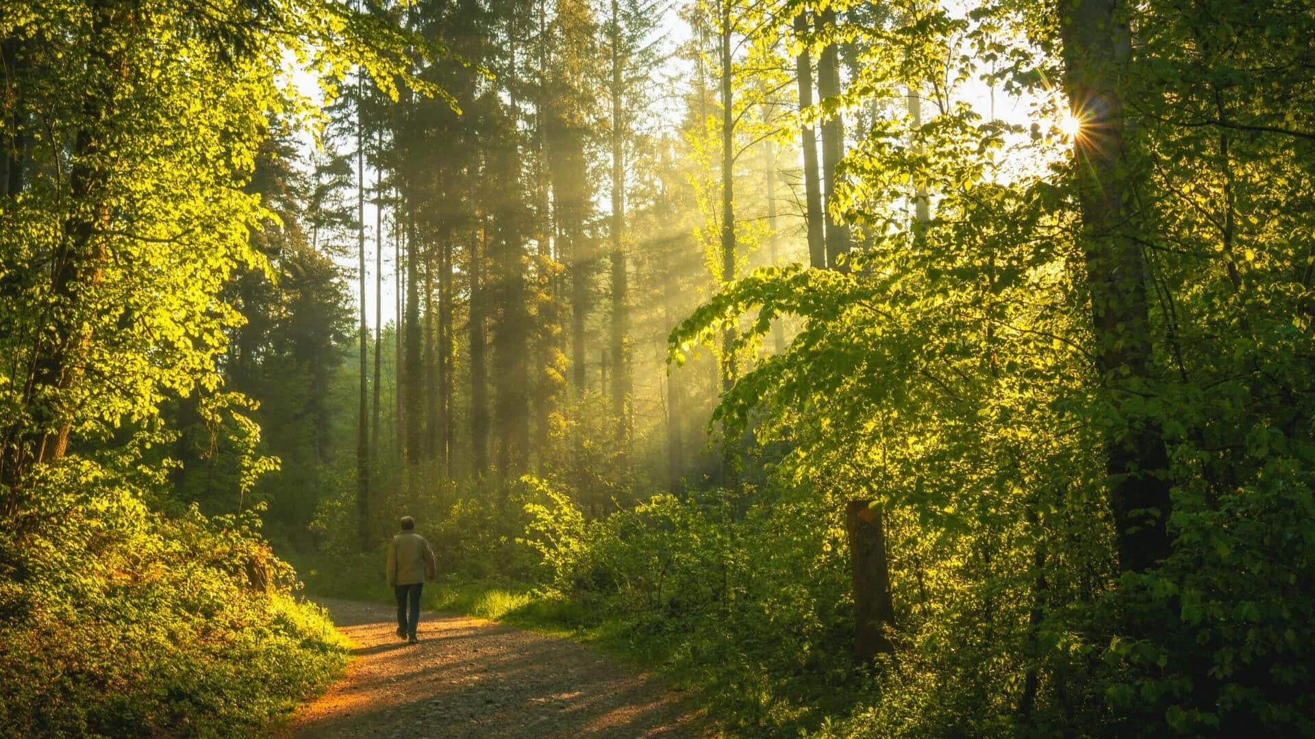 Eco-literacy nature walks: Learning Earth's language