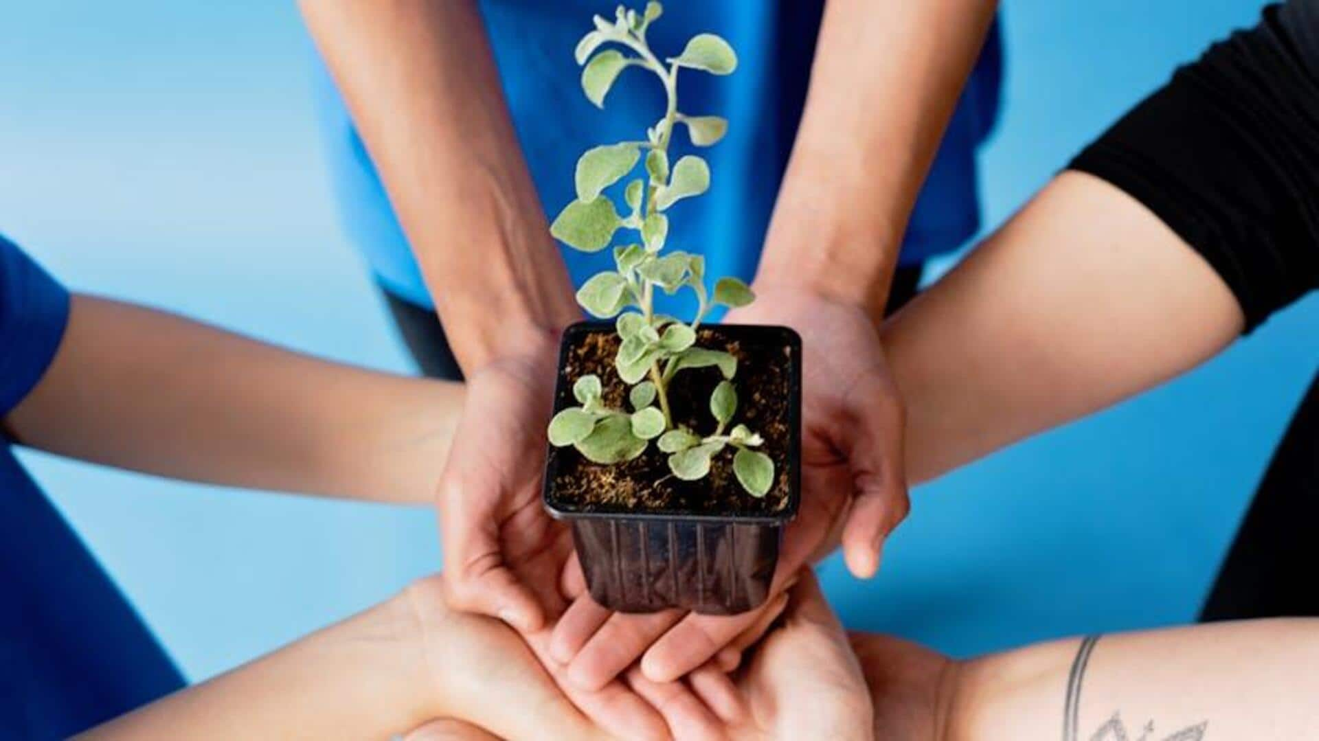 Community garden is every human needs. Whys and hows, explained 