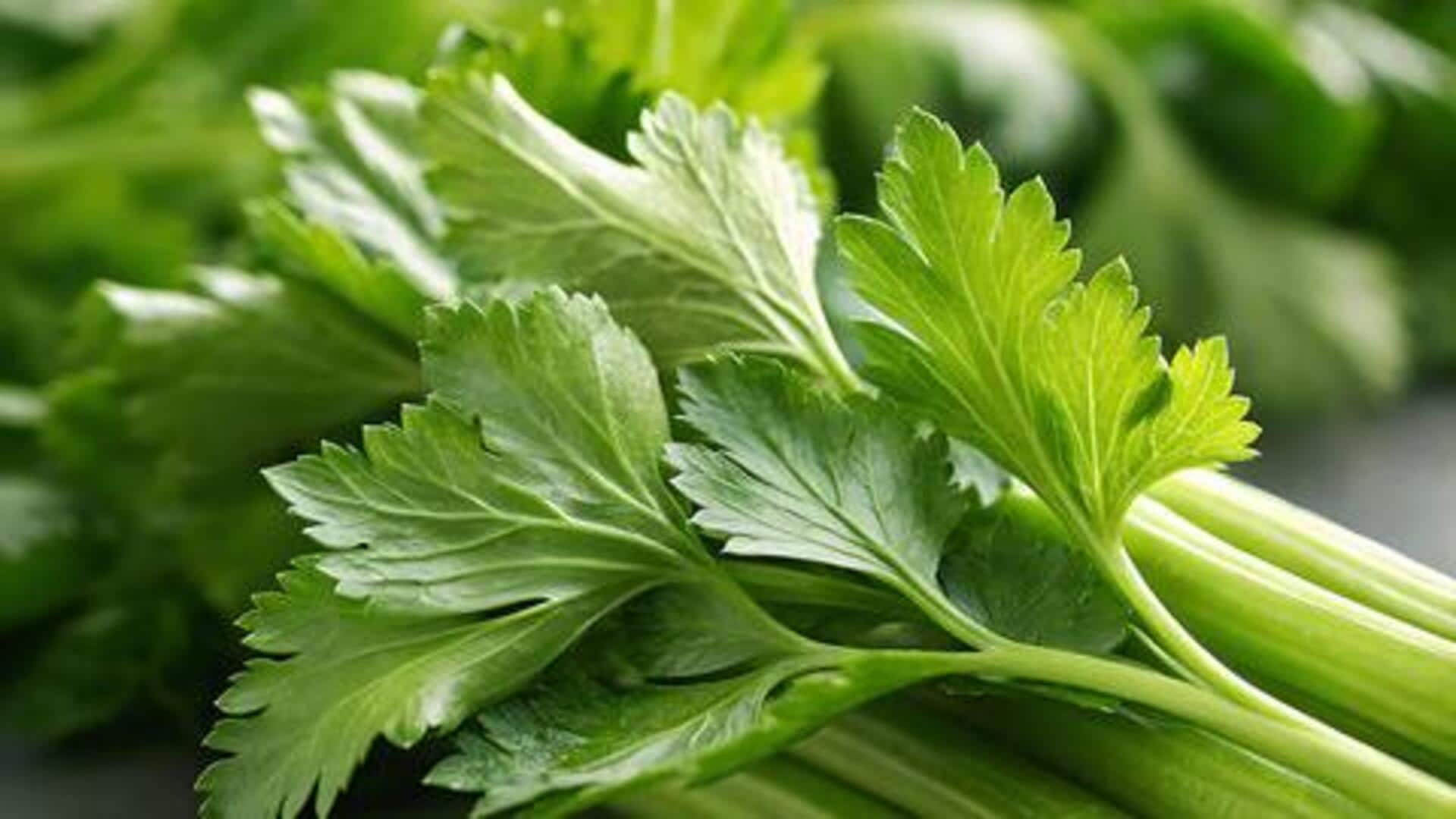 How to add celery to your daily meals