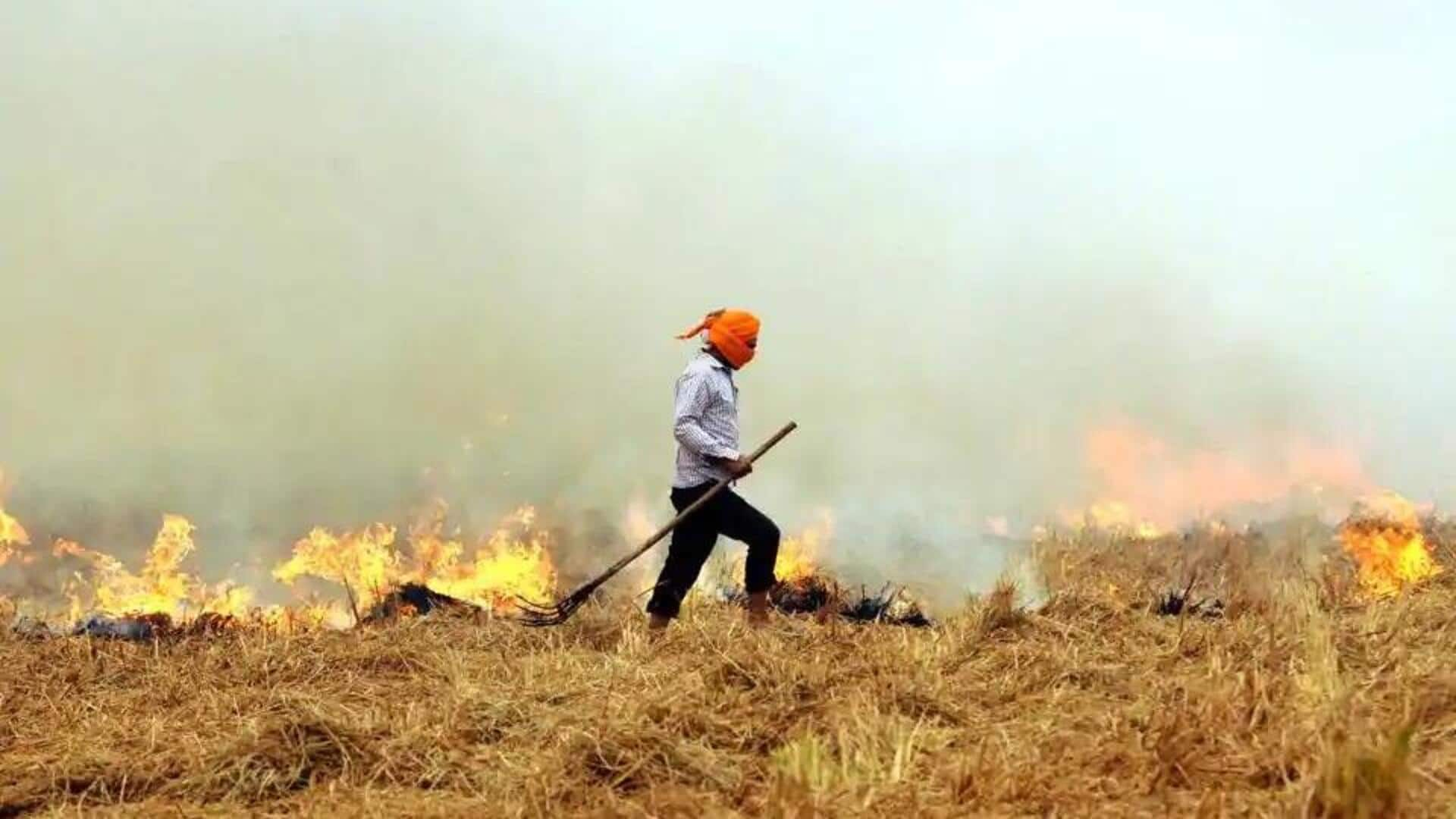 Stubble burning: Legal action can be taken against lax officials 