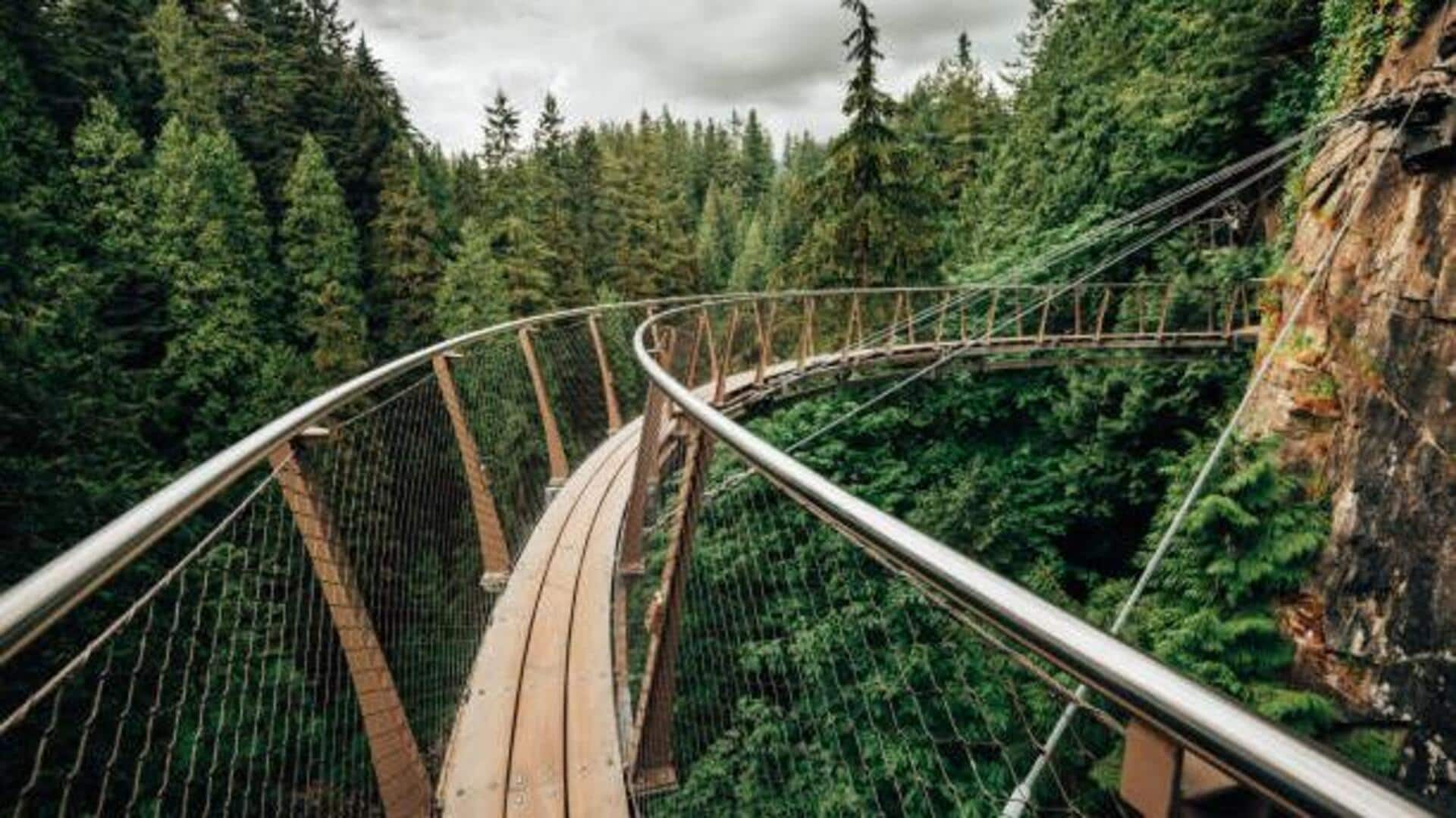 Your guide to experiencing the treetop skywalk 