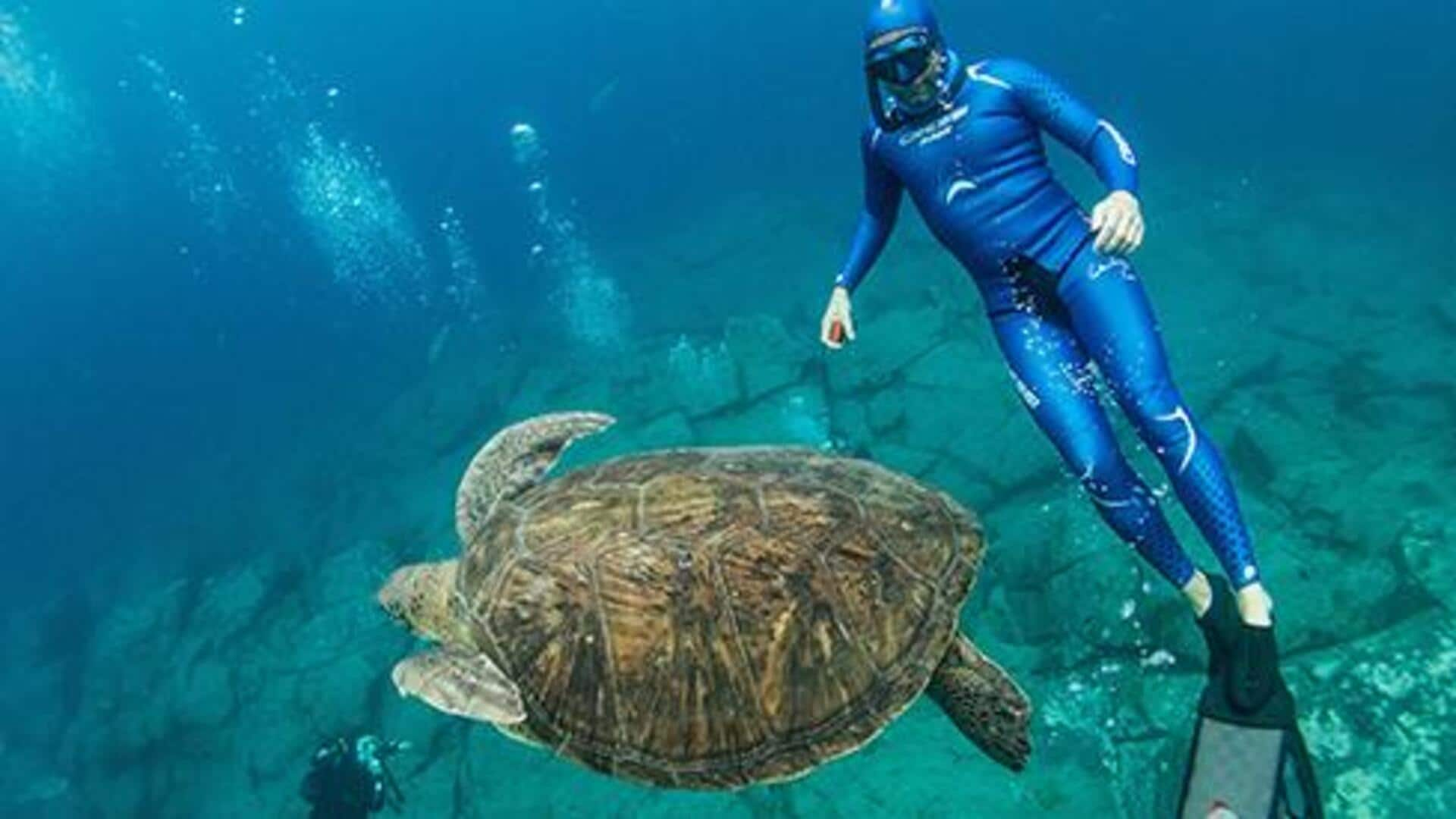 Freediving with sea turtles: Oceanic peace encounters