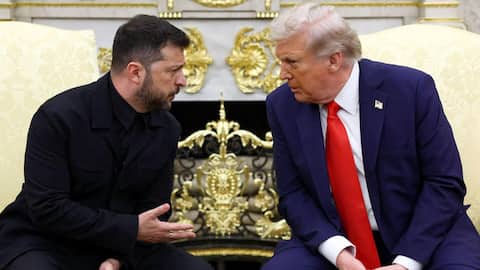 Zelenskyy to meet Trump as Ukraine peace talks regain focus