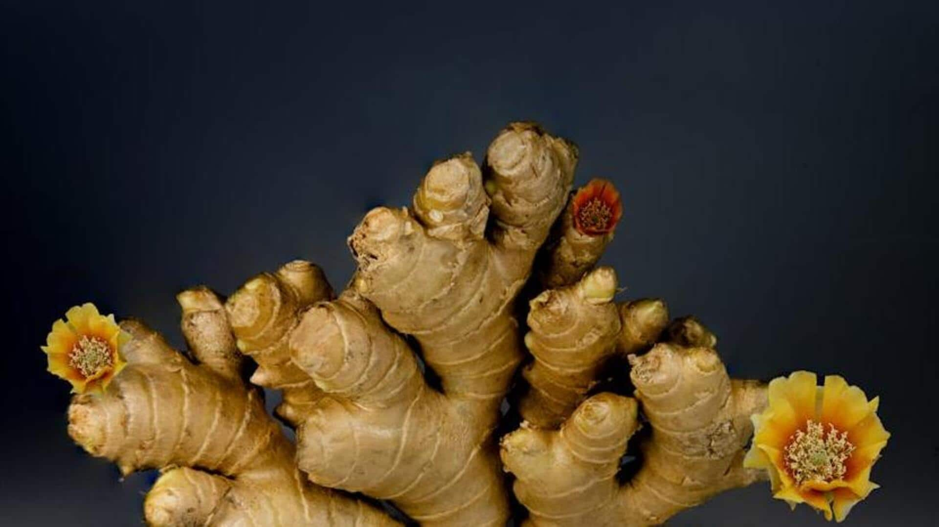 Power of ginger: A medication-free remedy for nausea