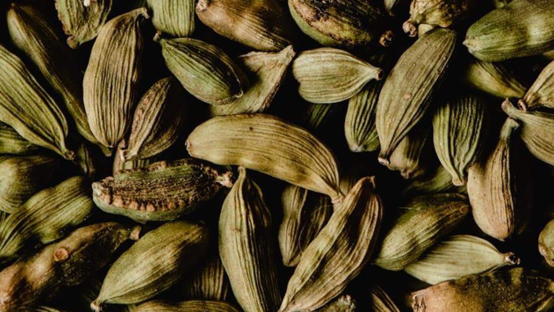 Cardamom pods: A kitchen essential you can't miss Cardamom pods: A kitchen essential you can't miss