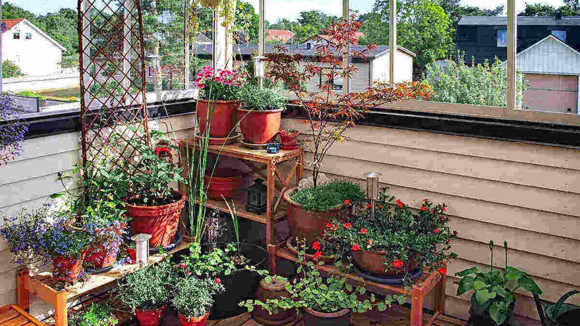 How to create a balcony garden (on a budget)
