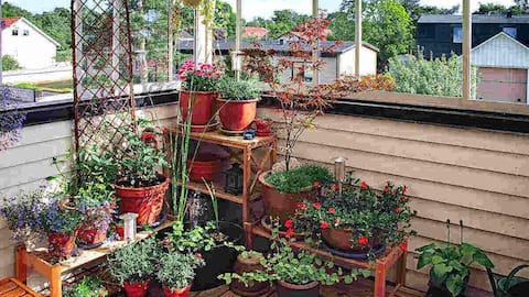 How to create a balcony garden (on a budget)