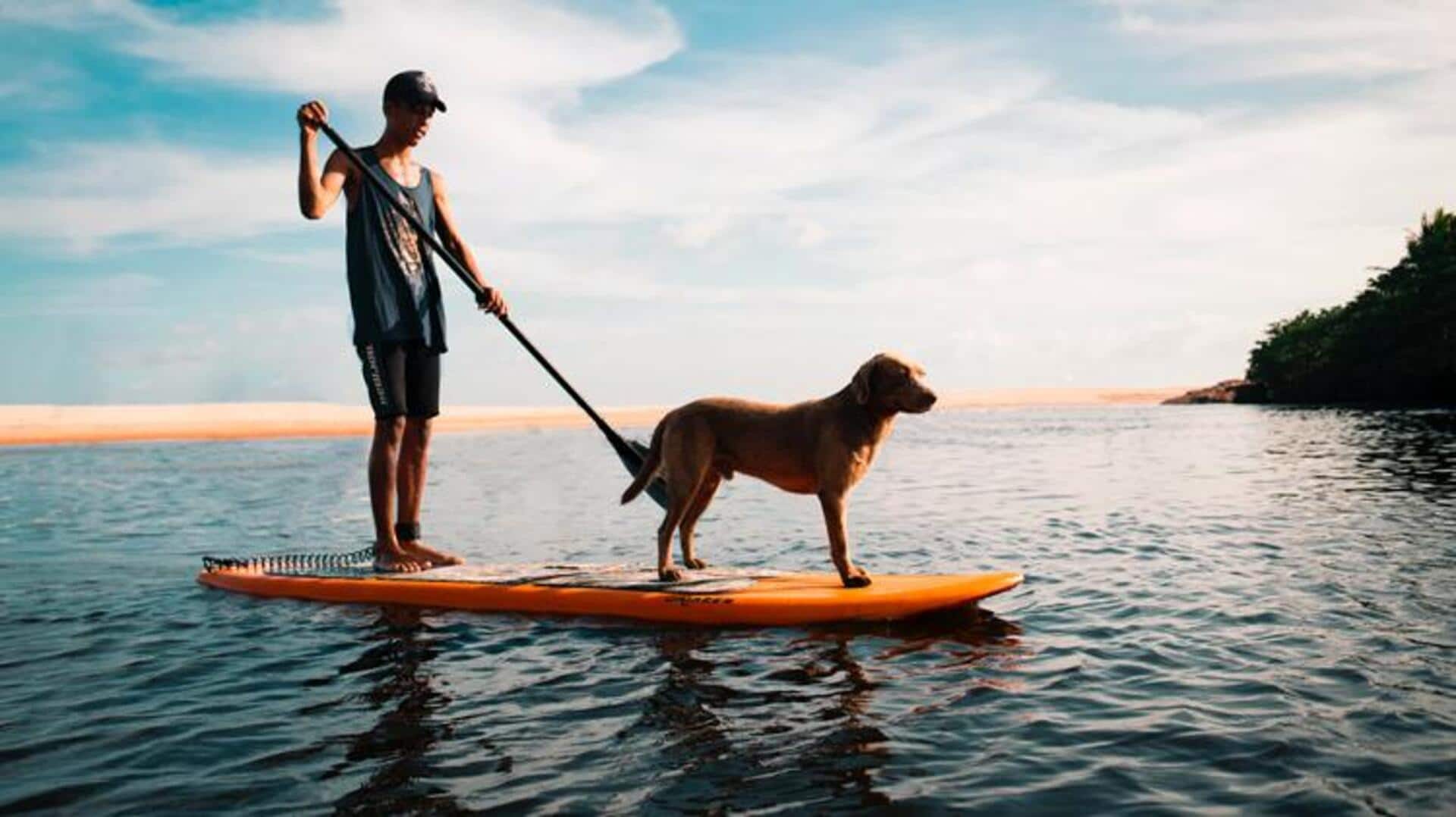 5 fun water activities to beat the heat 5 fun water activities to beat the heat
