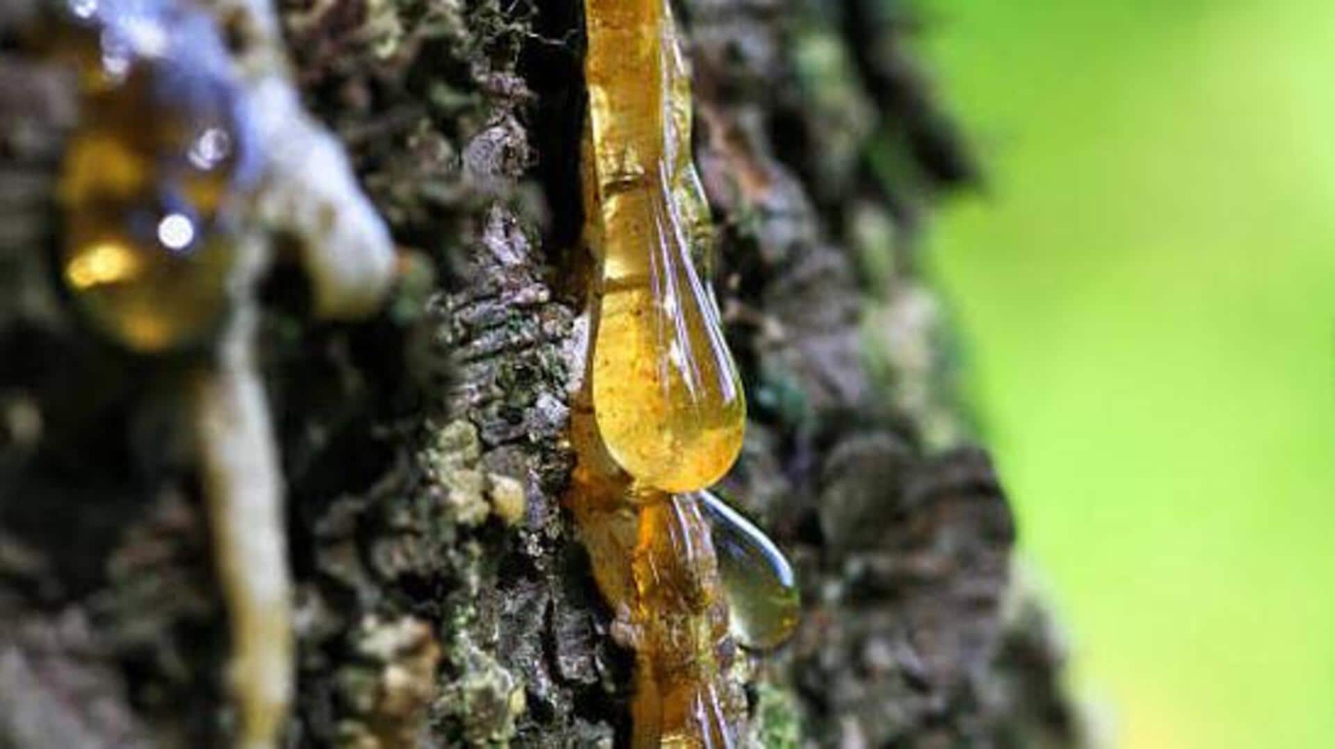 Why natural tree resin is used in skincare 
