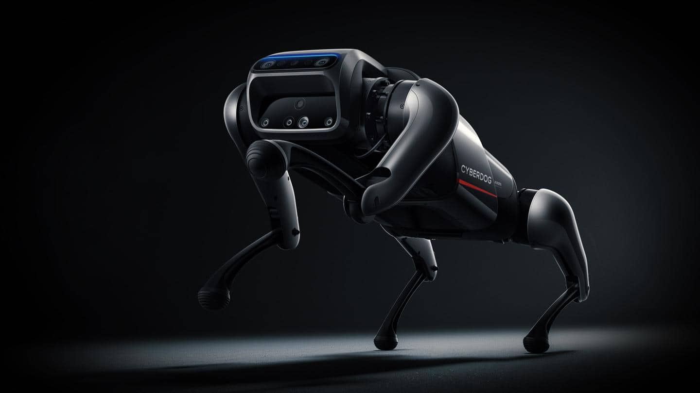 Xiaomi has launched a strange, robotic pet called CyberDog