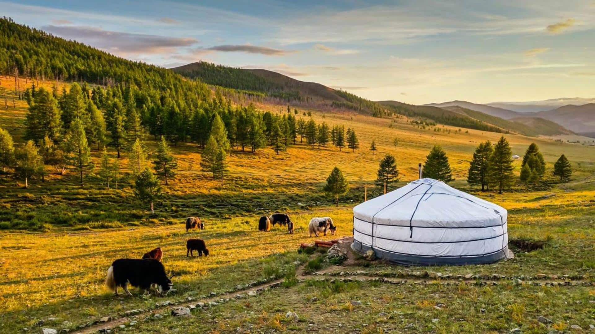If Mongolia is on your mind, read this