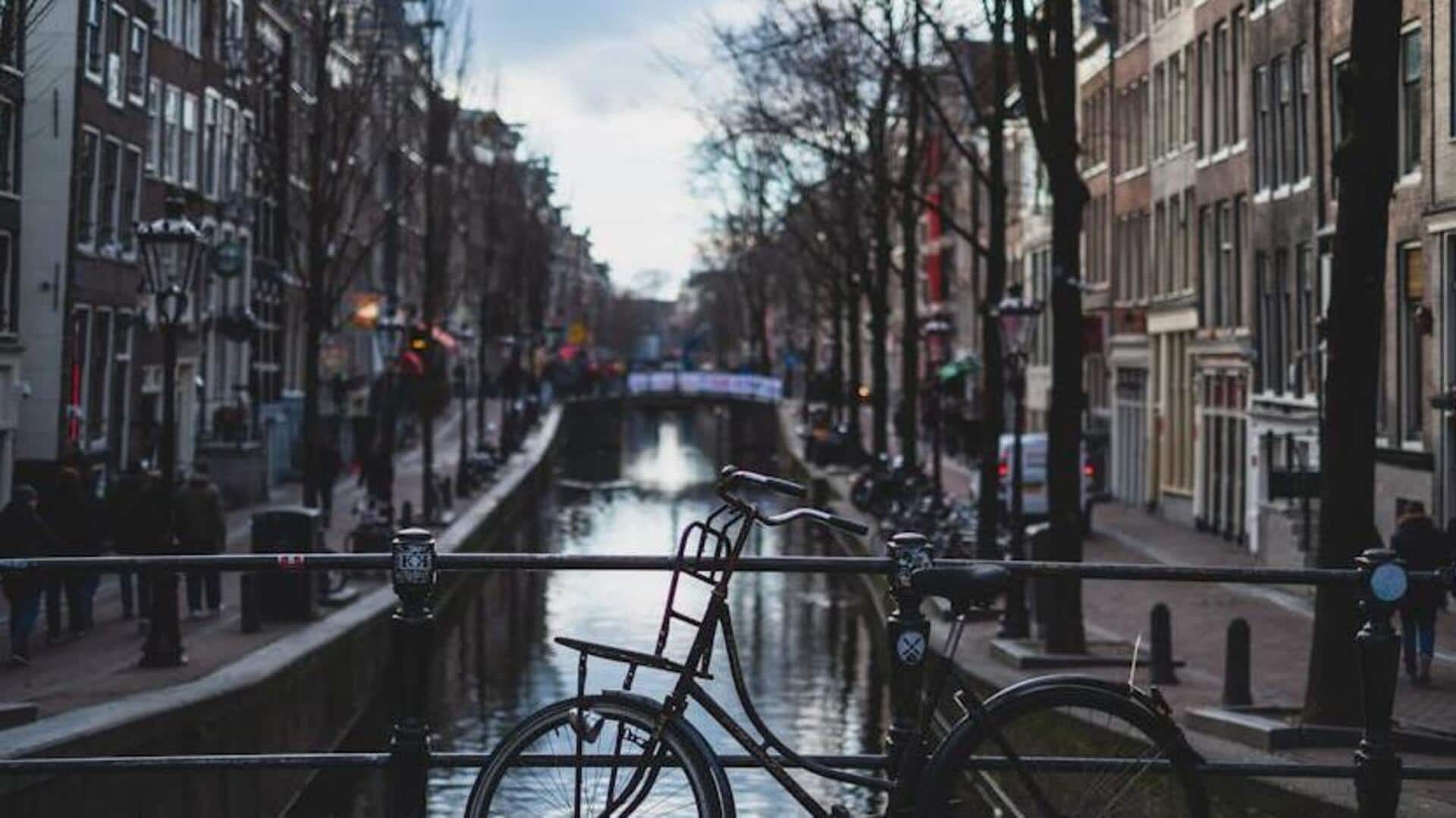 Discover Amsterdam's best bike paths