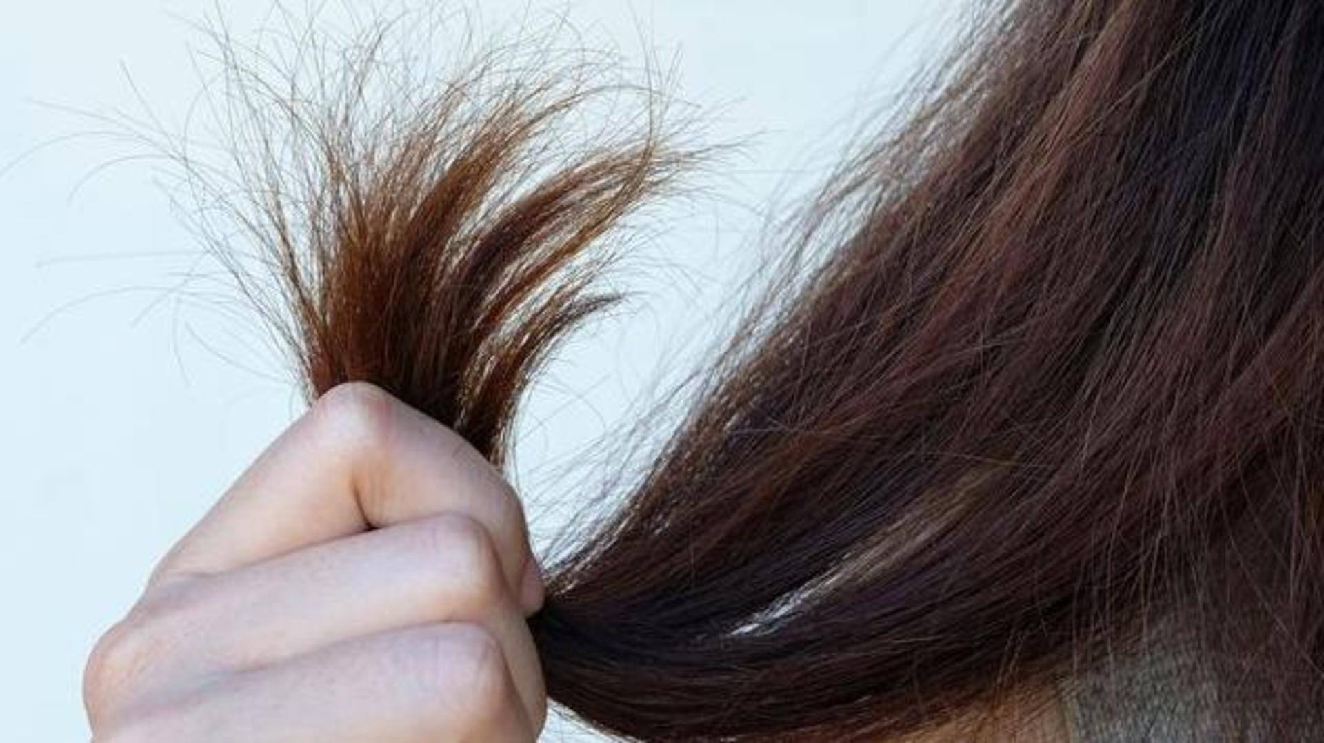 Brittle hair: Reasons and how to treat them