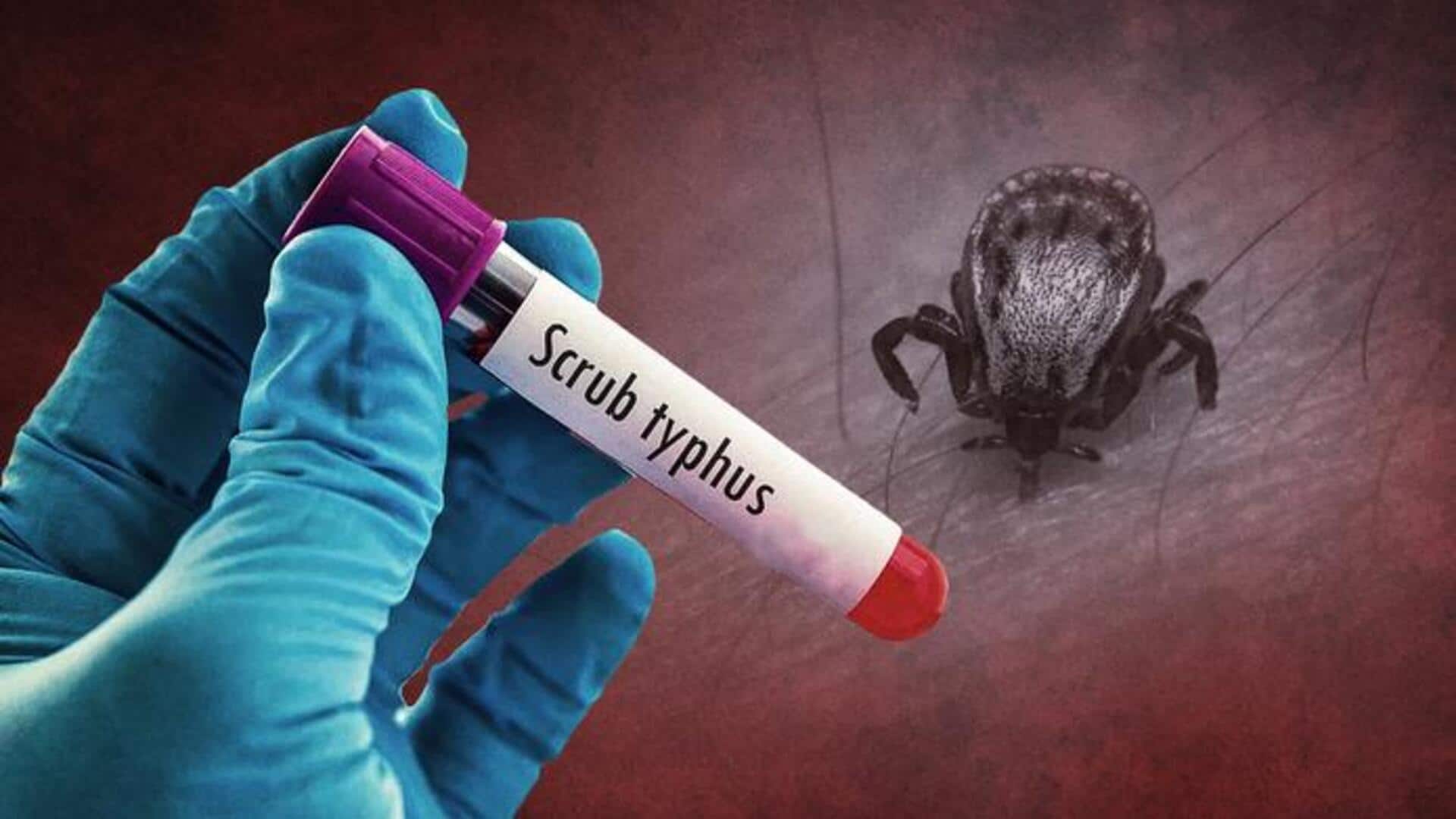 Odisha: Over 2,800 cases, 8 deaths from Scrub Typhus