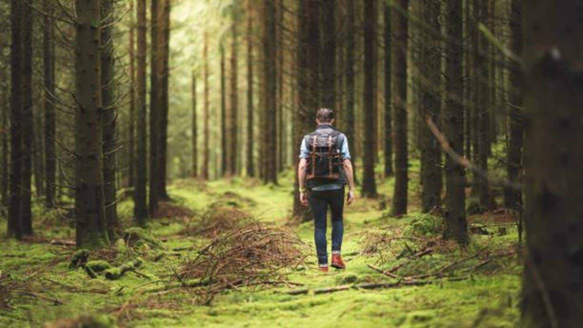 A beginner's guide to mindful walking A beginner's guide to mindful walking