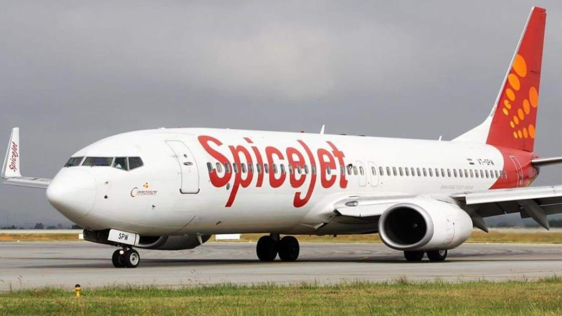 SpiceJet to issue 48.7 crore shares for ₹3,000 crore QIP