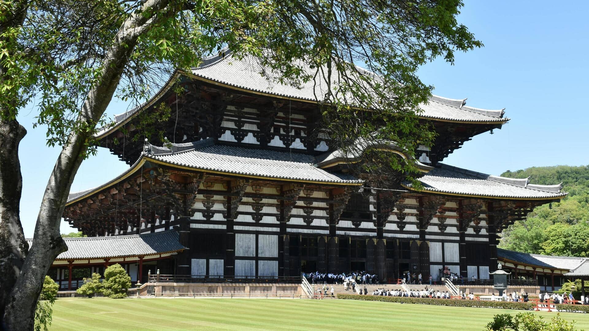Experience serenity in Nara, Japan with this travel guide