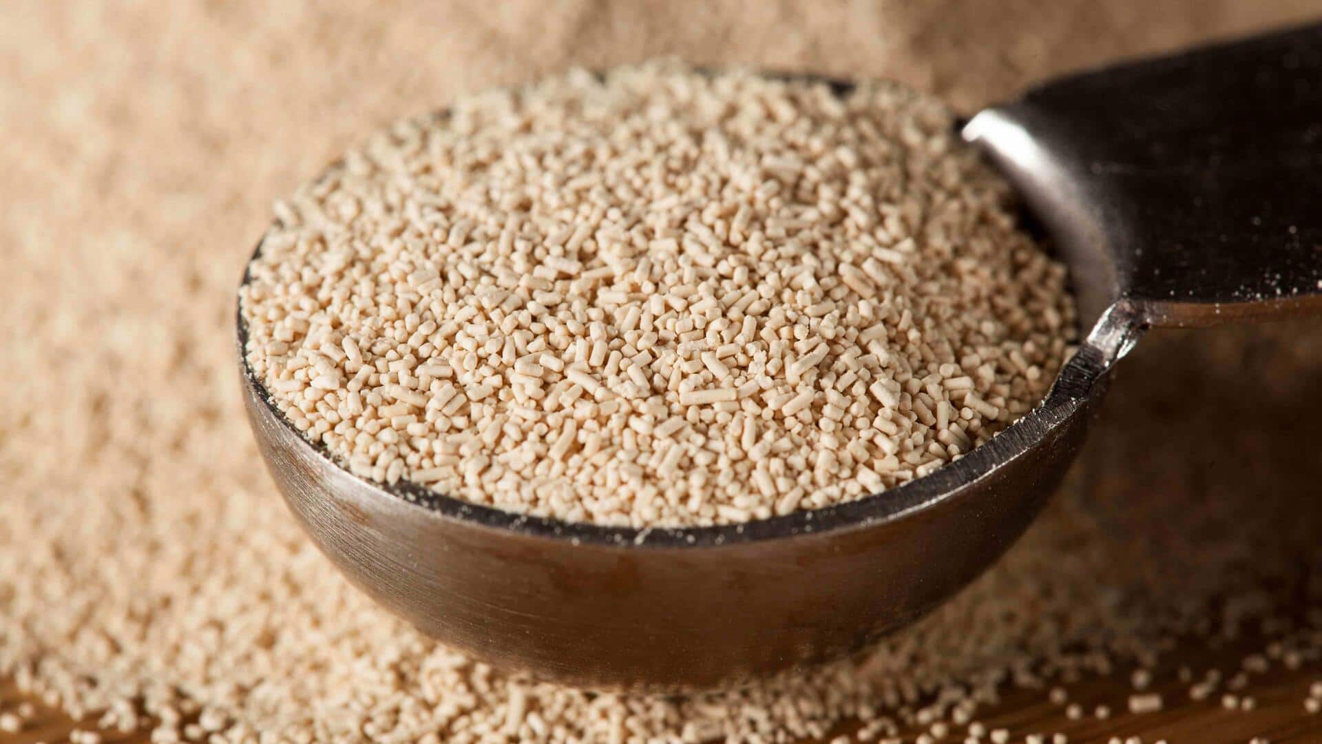 Yeast's metabolic cycle decoded using mathematical analysis: Why it matters Yeast's metabolic cycle decoded using mathematical analysis: Why it matters
