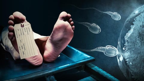 Woman granted permission to remove sperm from deceased husband