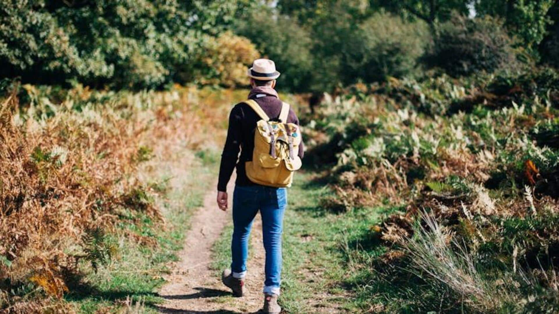 How mindful morning walks can transform your day