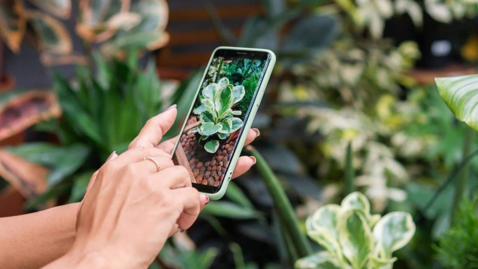 Why gardening enthusiasts should take advantage of AI tools