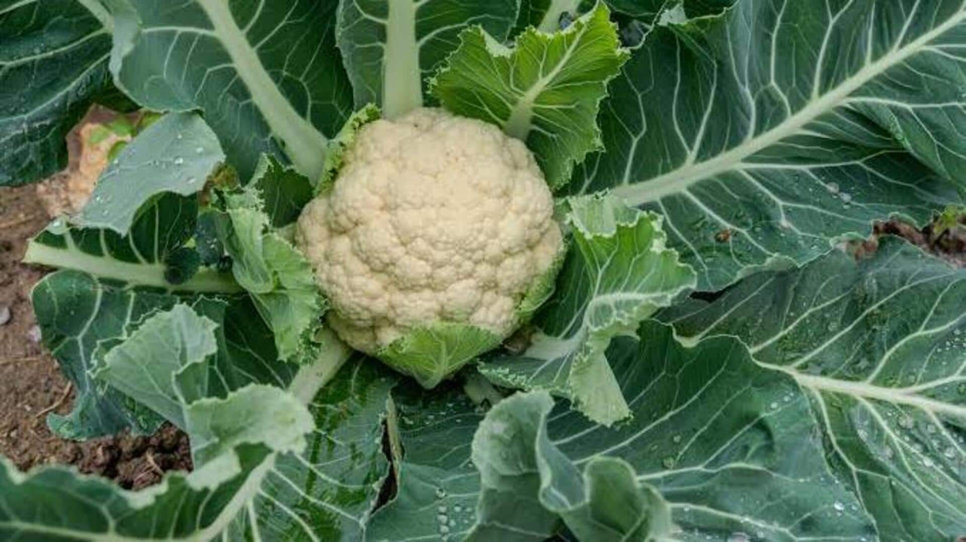 How to use cauliflower leaves in cooking