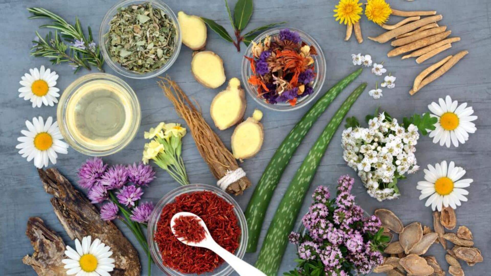 Natural healing: DIY remedies using common herbs 