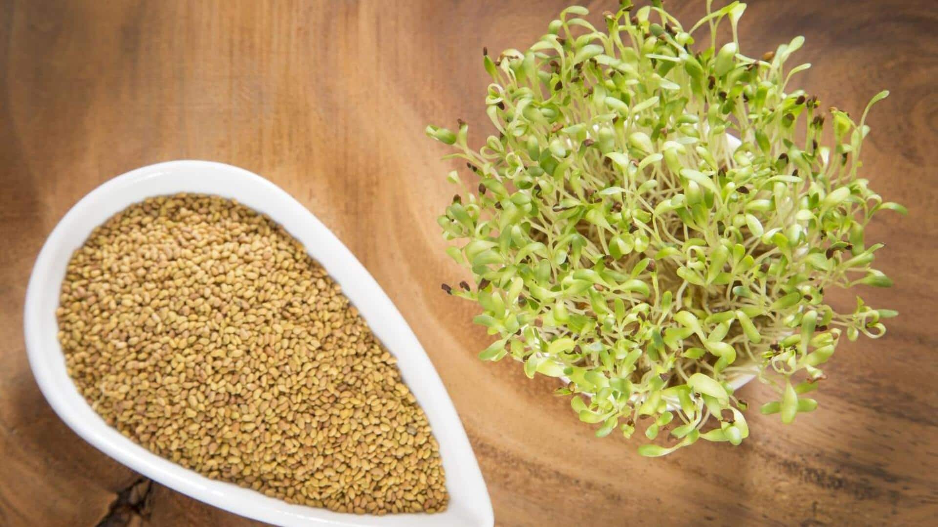Why you must add alfalfa seeds to your diet