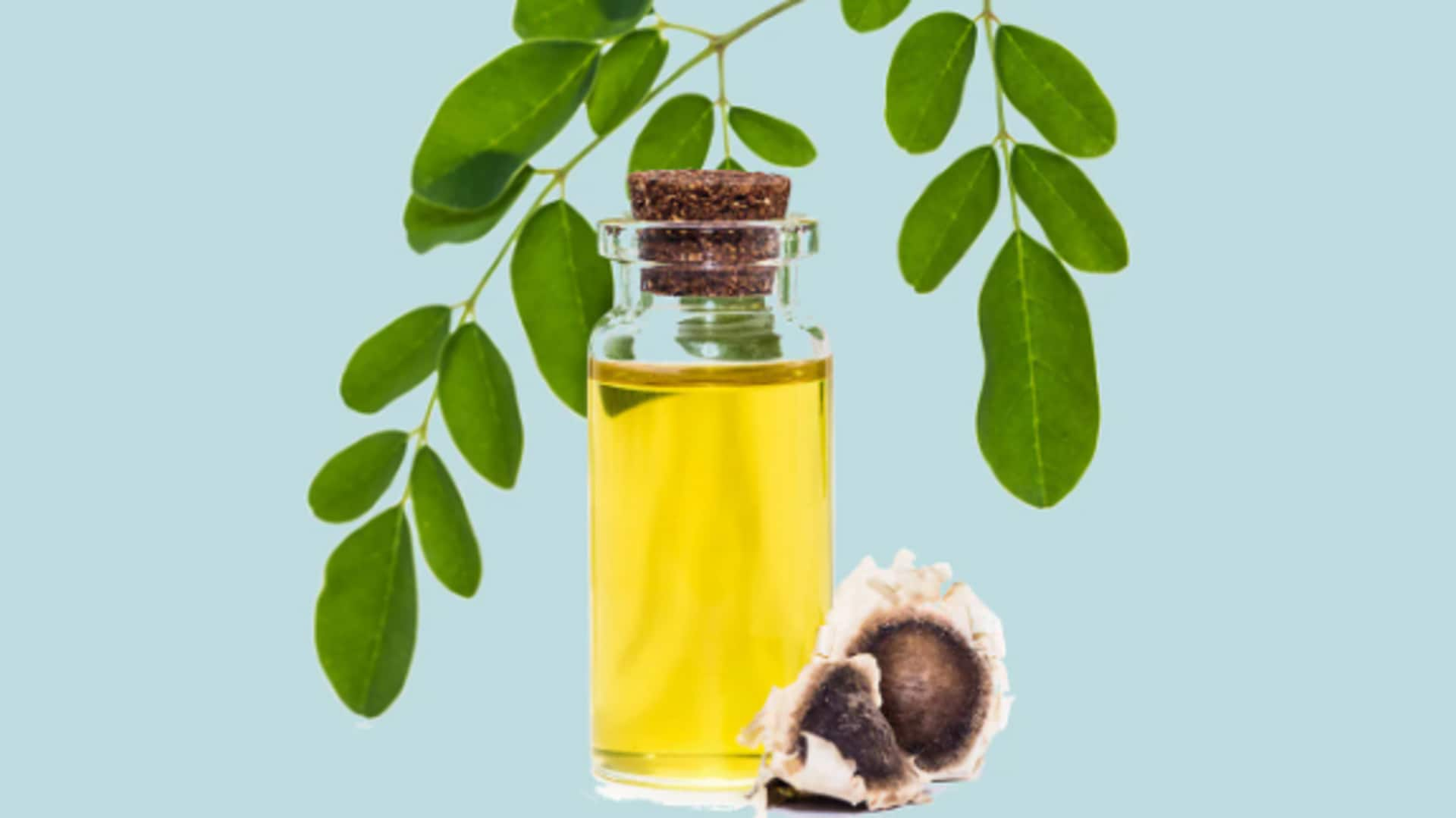 Purifying drinking water with moringa oil