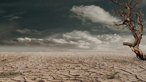 World Health Day: How climate change is affecting public health 