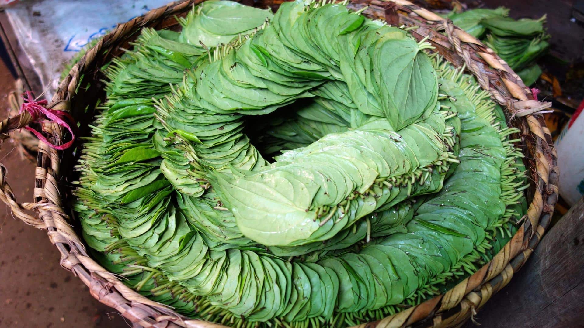 5 health benefits of betel leaf that make it 'paan'-tastic!