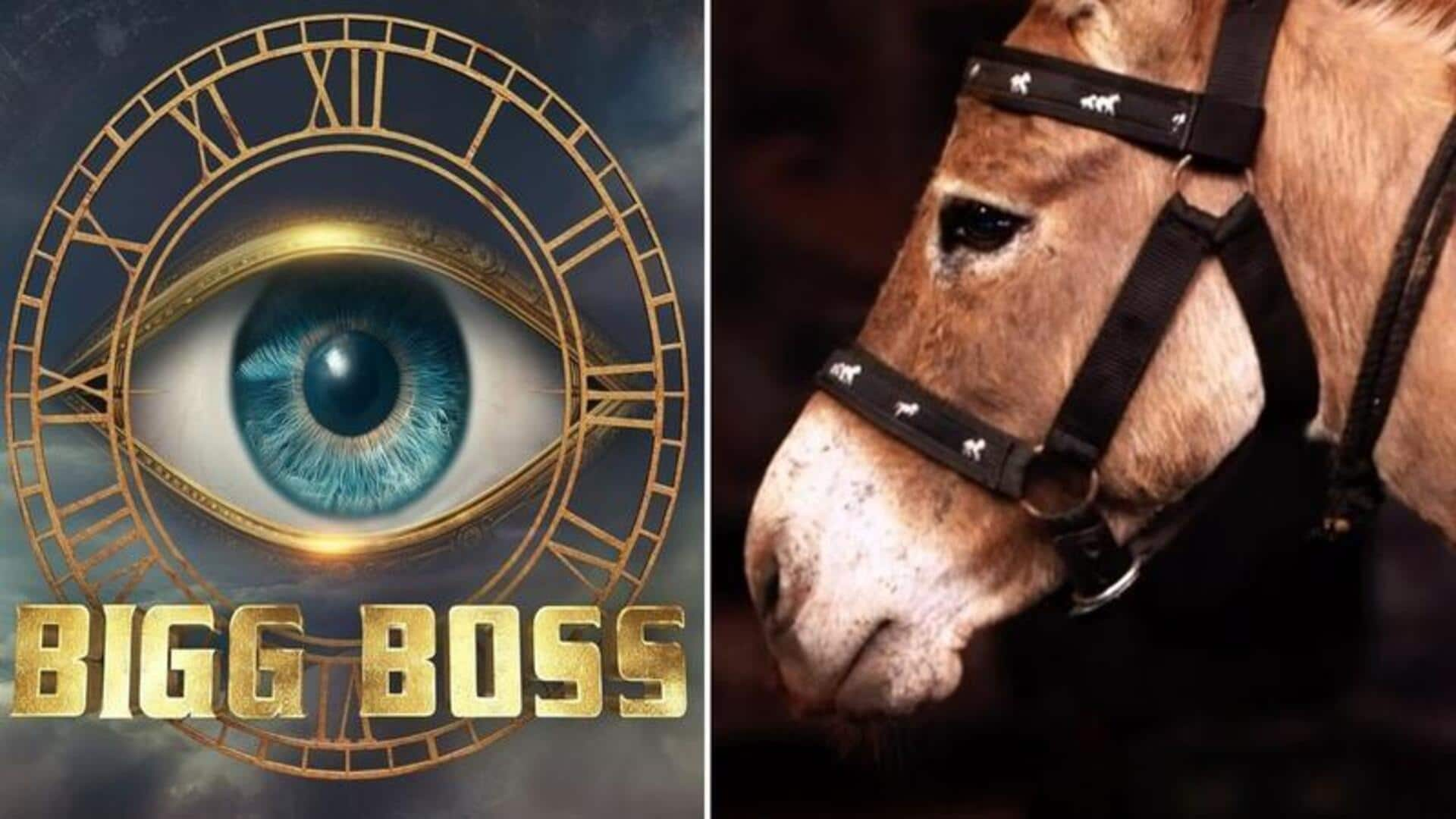 'Bigg Boss 18': A donkey joins contestants as special guest!