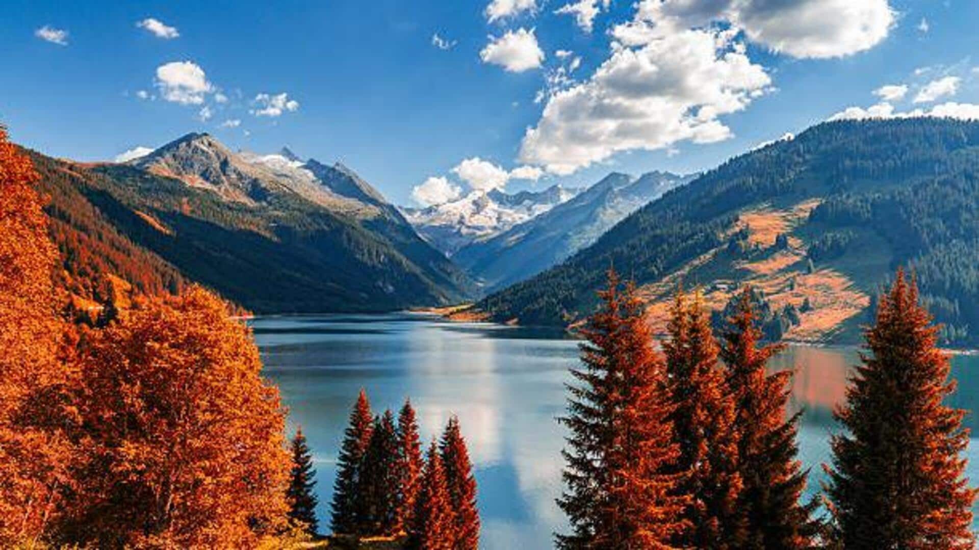 Best alpine trails to spot wildlife: A list