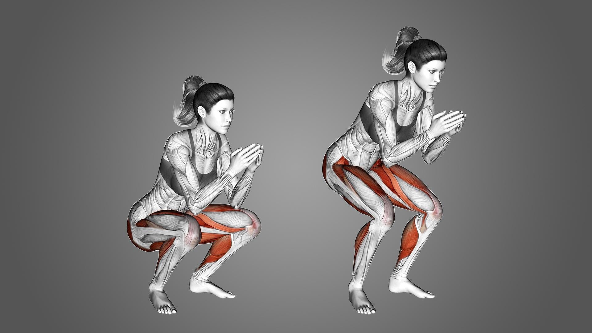 What are frog squats?