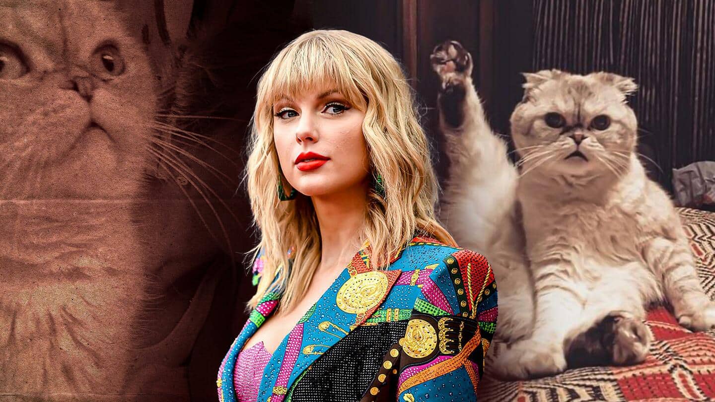 Taylor Swifts Cat Olivia Benson Is Worth Whopping Rs 800cr