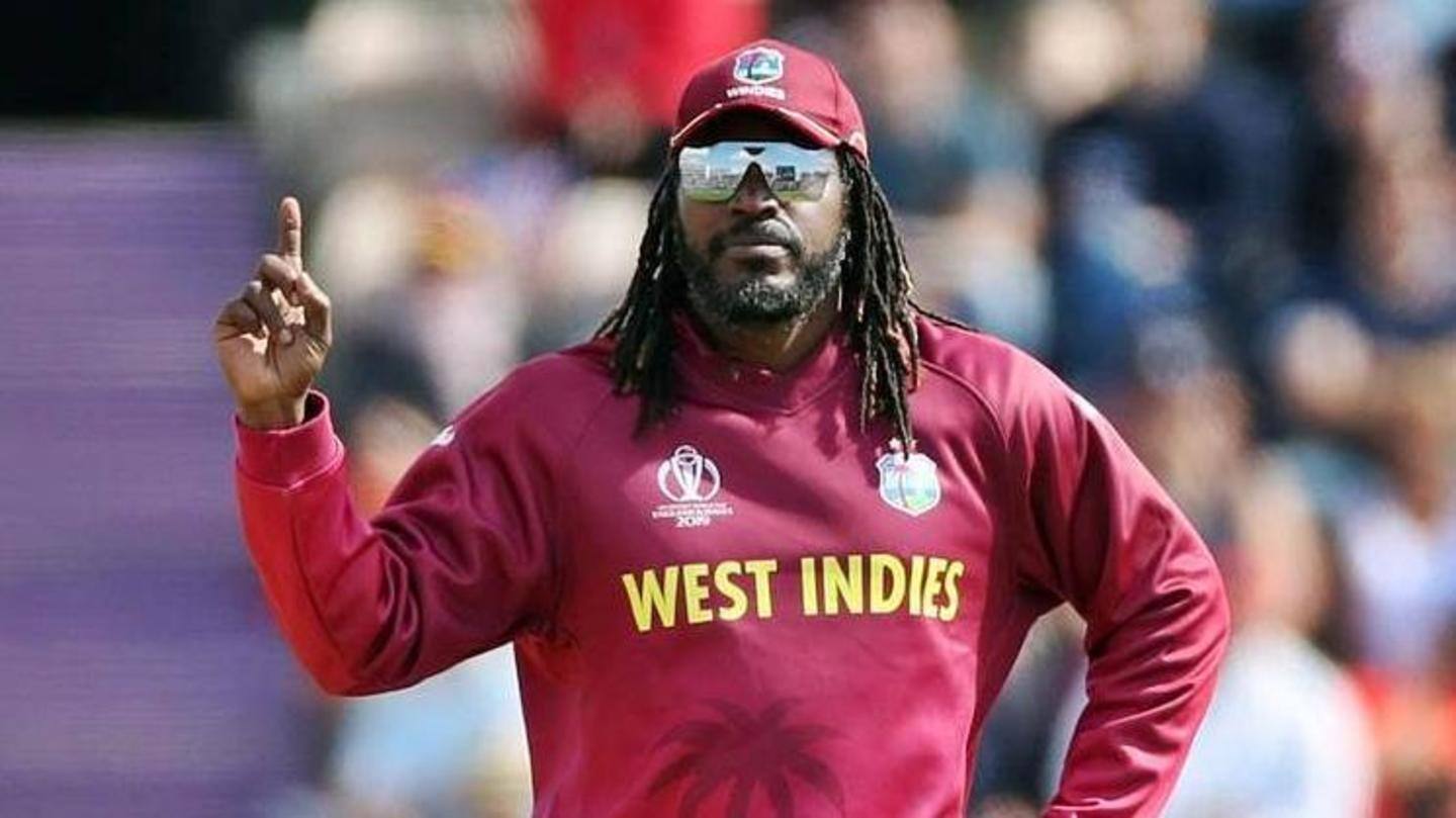 Here is what Gayle said Here is what Gayle said