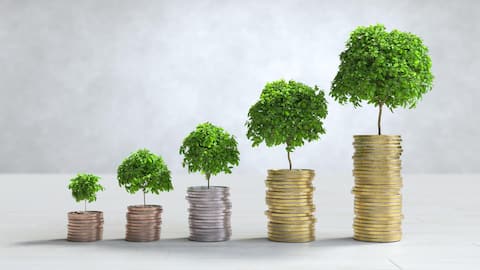 Green mutual funds: How to invest in them