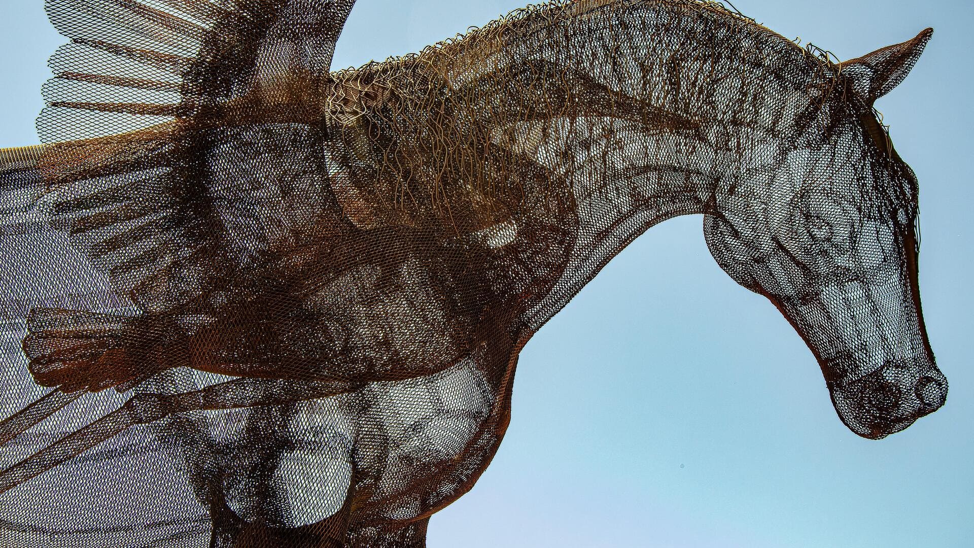 Create stunning wire sculptures with these tips