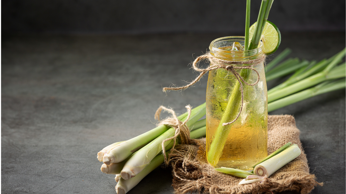 5 health benefits of lemongrass you must know