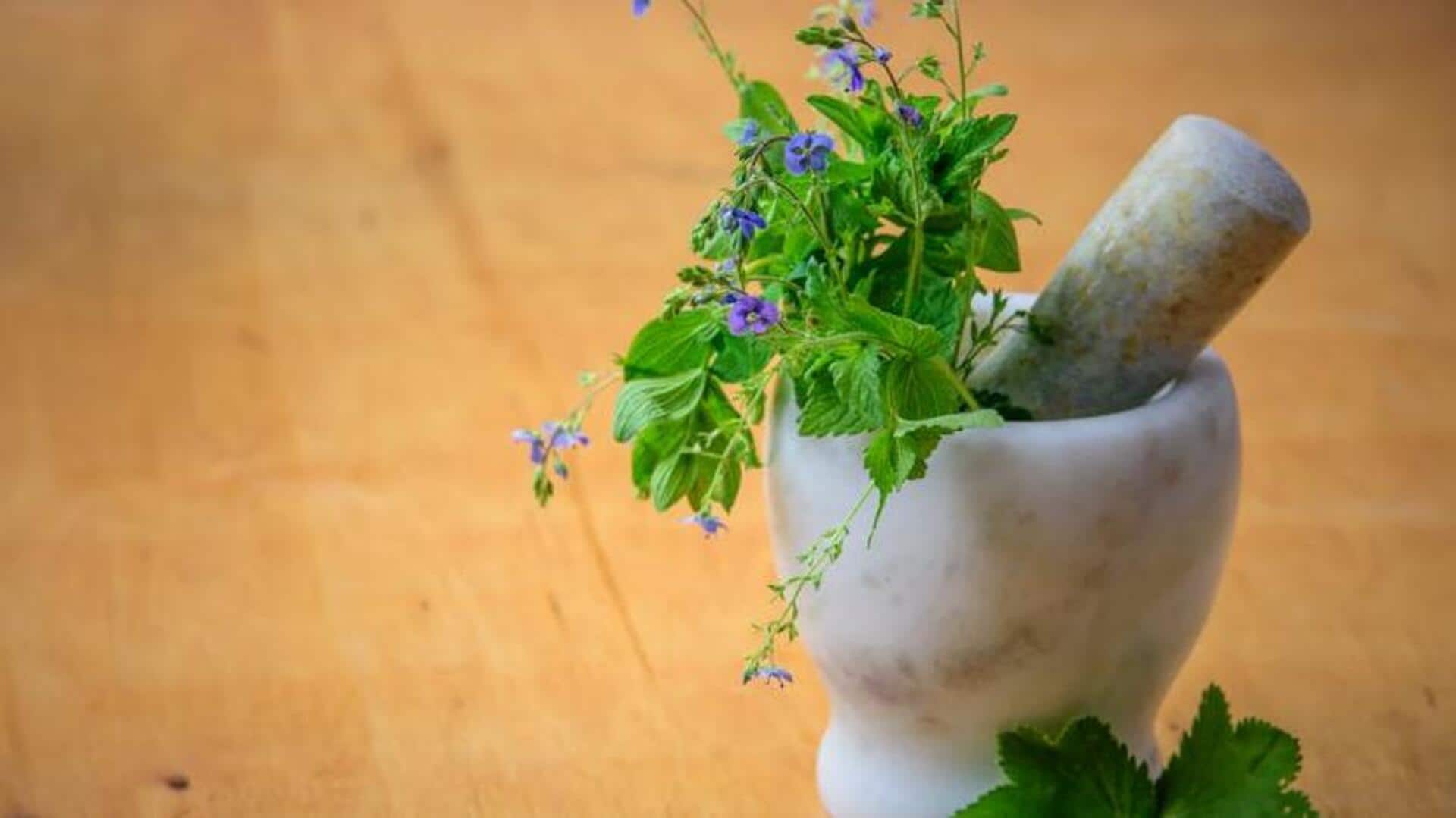 Discover the bold flavors of heirloom herbs Discover the bold flavors of heirloom herbs