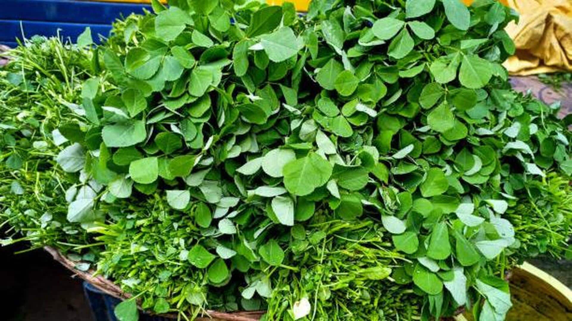 Fenugreek leaves: Culinary and health benefits Fenugreek leaves: Culinary and health benefits