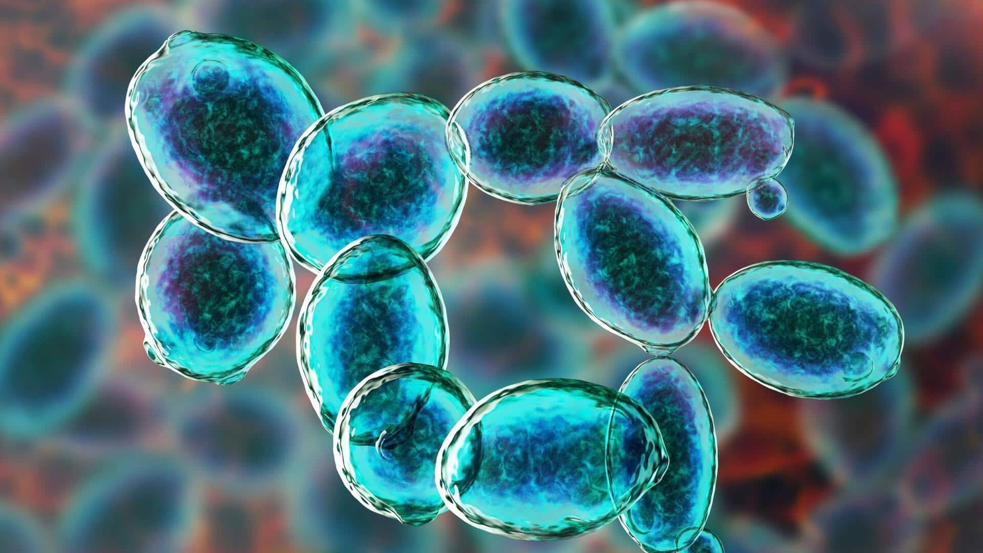 Your gut can brew alcohol! How bacteria get you drunk